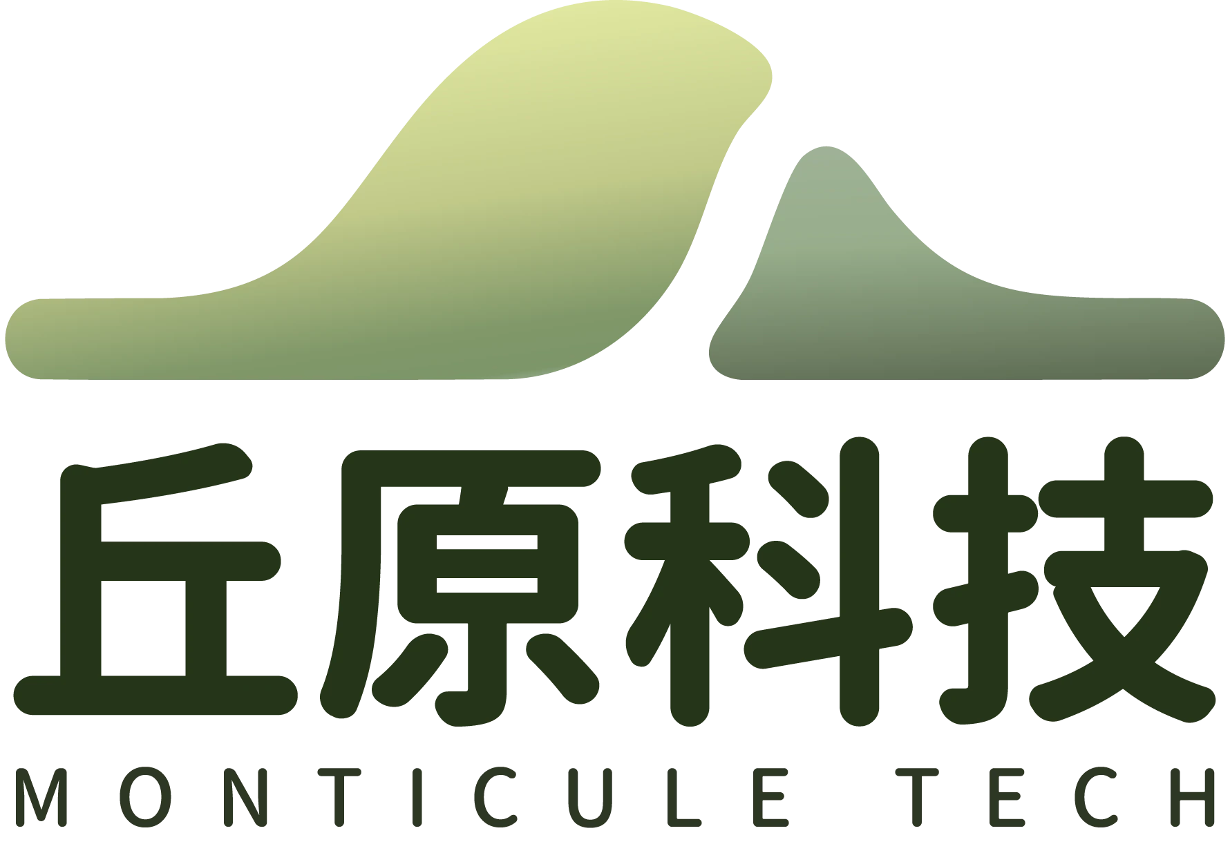 丘原科技 Monticule Tech - 下一代 AI 解决方案